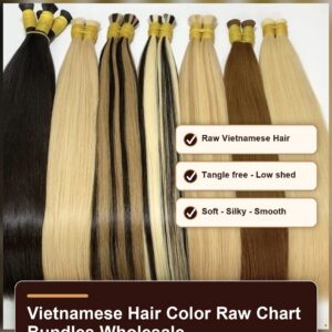 Vietnamese hair color raw chart bundles wholesale benefit banner