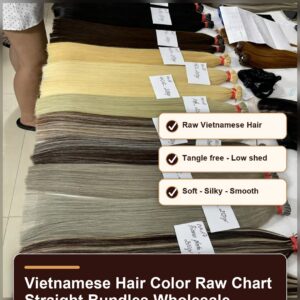 Vietnamese hair color raw chart straight bundles wholesale benefit banner