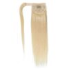 Ravi Hair Straight Hair Ponytail 4 300x300 09d22698.jpg